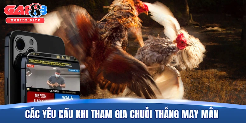 Chuỗi Thắng May Mắn - Chinh Phục Để Nhận Thưởng 24/7 2 Các yêu cầu khi tham gia chuỗi thắng may mắn
