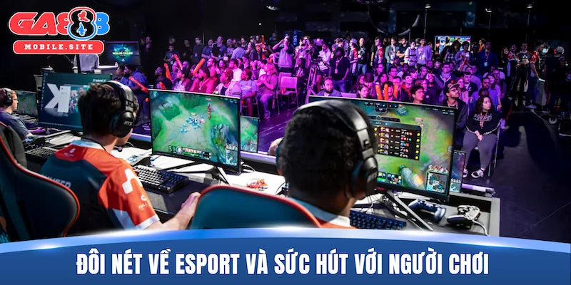 Đôi nét về Esport và sức hút đối với cộng đồng người chơi