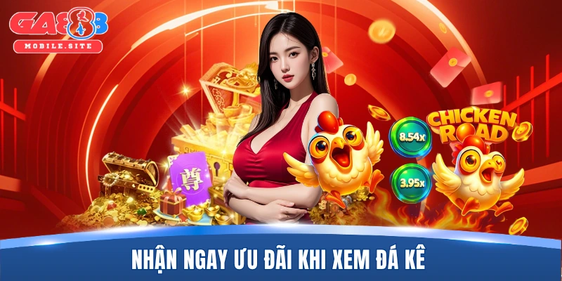 Đá Gà GA888 2 Nhận ngay ưu đãi khi xem đá kê
