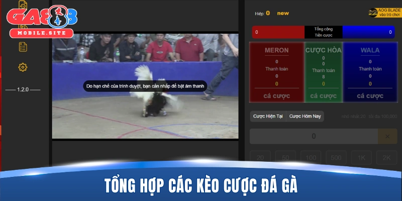 Đá Gà GA888 4 Tổng hợp các kèo cược đá gà